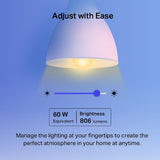 TP-Link Smart Wi-Fi Light Bulb, Multicolor, 2-Pack Tapo L530E(2-pack)